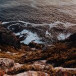 자연의 아름다움이 담긴 향기로운 미술 작품들을 만나보다