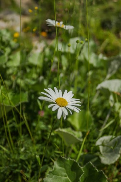 Nature Beauty